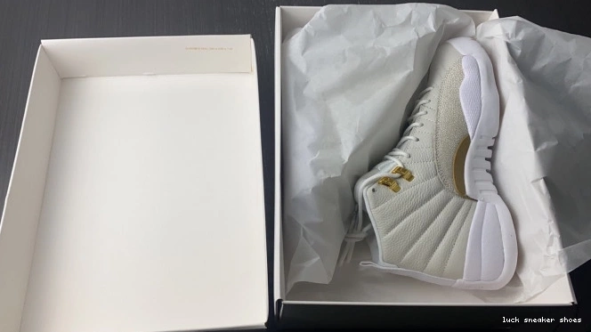 Cheap LUCY Retro Jordan White 12 OVO 873864-102 0813
